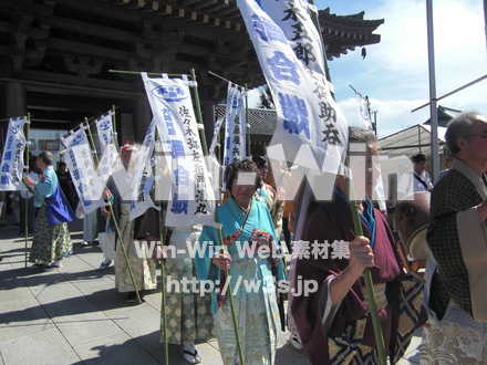 水鳥の祭　２の写真素材 W-001172