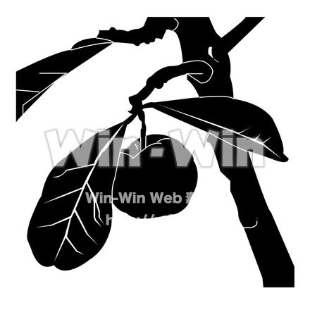 アセロラのシルエット素材 W-000344