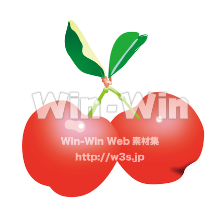 アセロラのCG・イラスト素材 W-000006