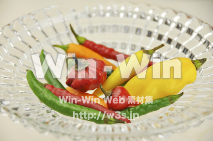 色々なとうがらしの写真素材 W-000093