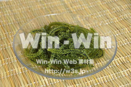 海ぶどうの写真素材 W-000226