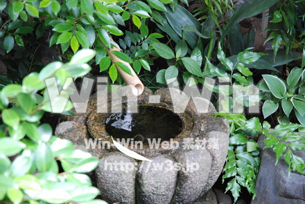 庭の写真素材 W-000694