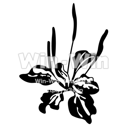 オオバコのシルエット素材 W-001004