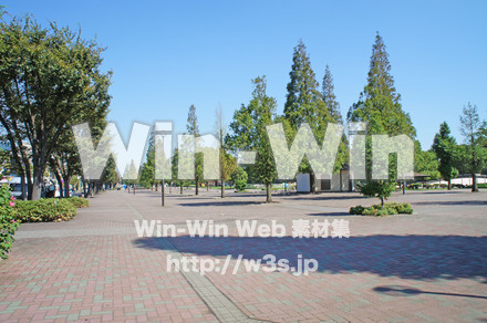 大師公園　２０の写真素材 W-001219