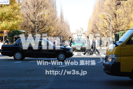 銀杏並木の交差点の写真素材 W-000757