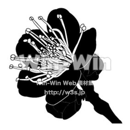 梅のシルエット素材 W-000414