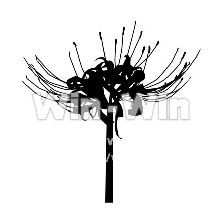 彼岸花のシルエット素材 W-000400