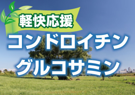 関節系商品のPOP D-000589 のその他