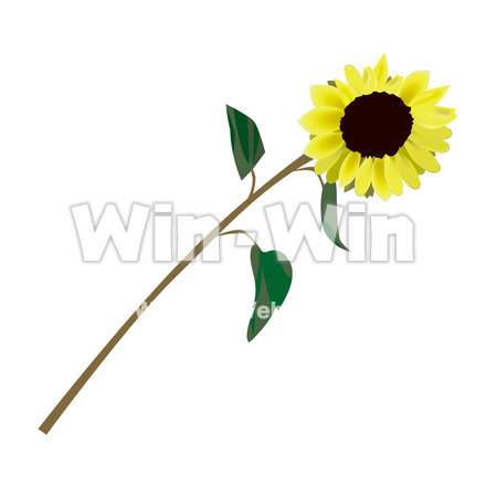 ひまわりのCG・イラスト素材 W-000482