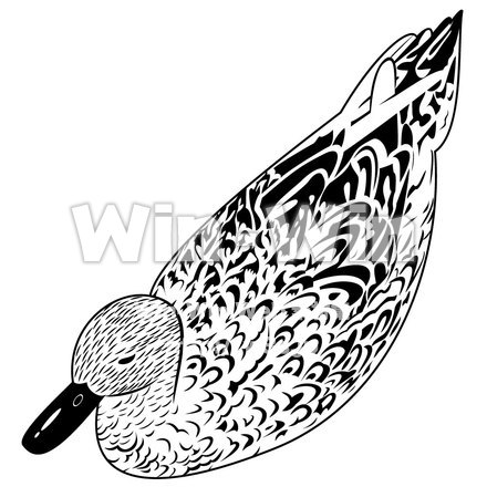 カモのシルエット素材 W-000290