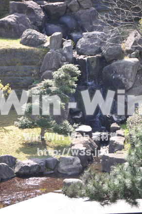 日本庭園の写真素材 W-000699