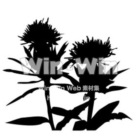 紅花のシルエット素材 W-000418