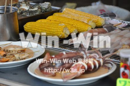 東尋坊の写真素材 W-001762