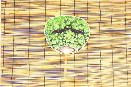 第2回6番 D-000627 のうちわ