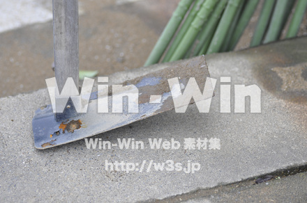 クワの写真素材 W-001125