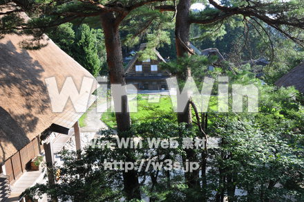 白川郷の写真素材 W-001987