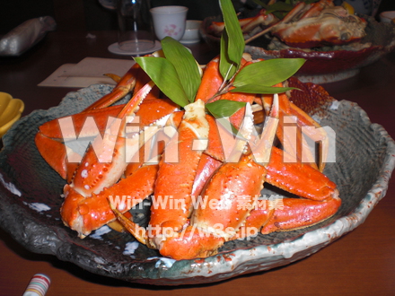 カニの写真素材 W-000603