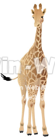 キリンのCG・イラスト素材 W-001610