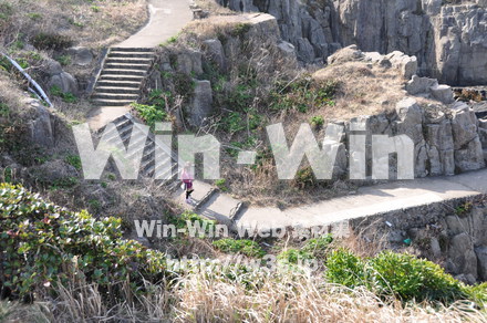 東尋坊の写真素材 W-001800