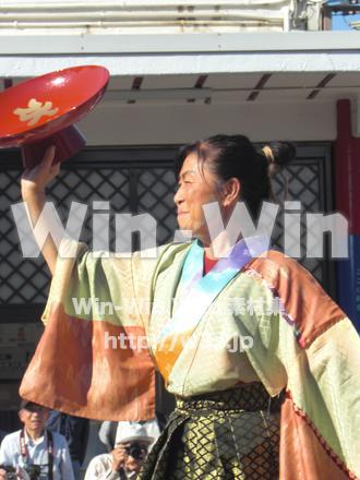 水鳥の祭　９の写真素材 W-001190