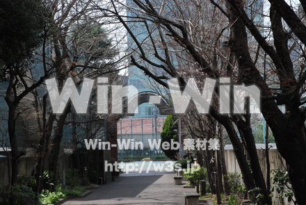 学校の写真素材 W-001084