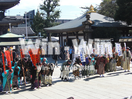 水鳥の祭　３の写真素材 W-001175