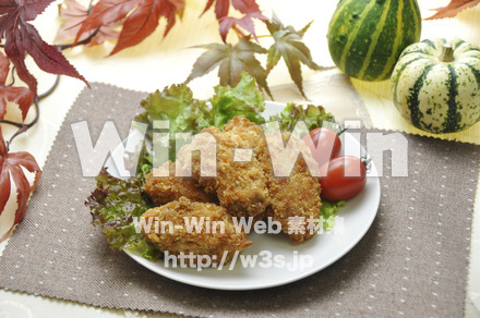 カキフライの写真素材 W-000636