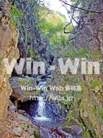 沢の写真素材 W-001307