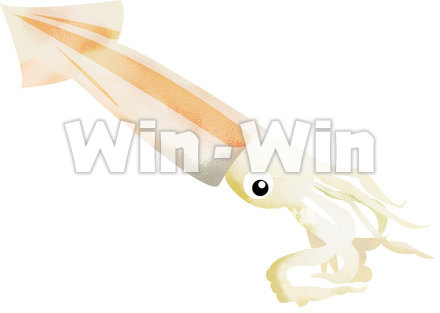 イカのCG・イラスト素材 W-000227