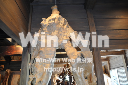 白川郷の写真素材 W-001967