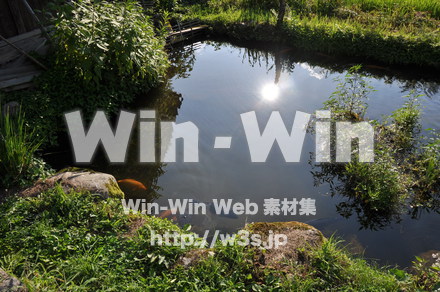 白川郷の写真素材 W-001997