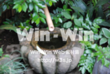 庭の写真素材 W-000692