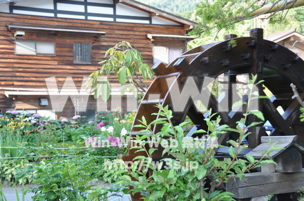 白川郷の写真素材 W-001968