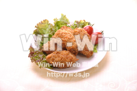 カキフライの写真素材 W-000637