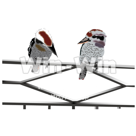 鳥（ベランダにとまる）のCG・イラスト素材 W-000415