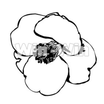 やぶつばきのシルエット素材 W-000383