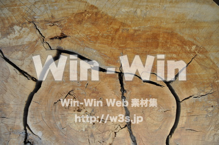 白川郷の写真素材 W-001966