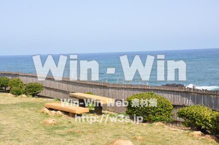 東尋坊の写真素材 W-001842