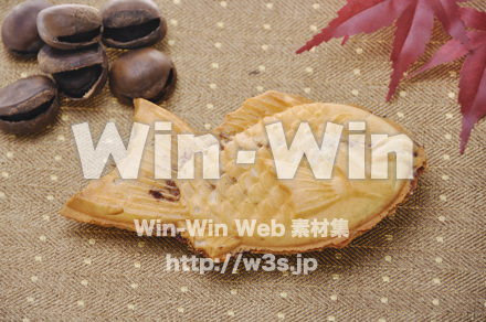 たいやきの写真素材 W-000710