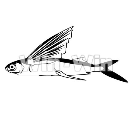 トビウオのシルエット素材 W-000339