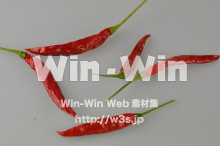 とうがらしの写真素材 W-000098