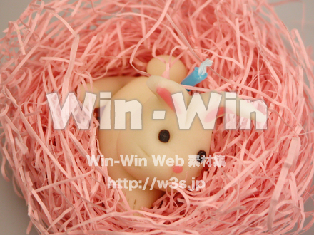 ウサギのパン細工の写真素材 W-001158