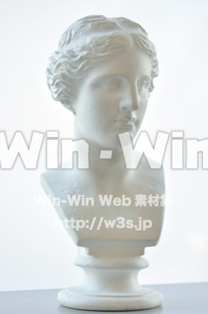 ミロ島ヴィーナス胸像の写真素材 W-000516