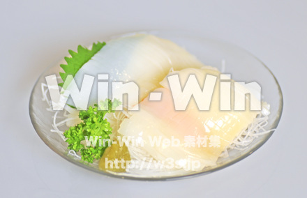 いかの刺身の写真素材 W-000597