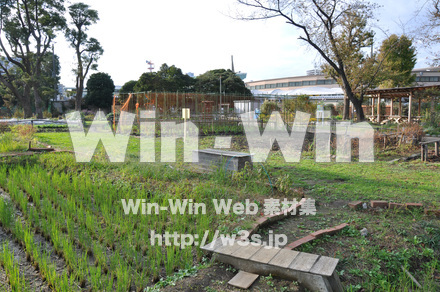 はぐくみの里の写真素材 W-002699