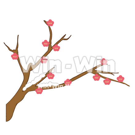 梅のCG・イラスト素材 W-002973