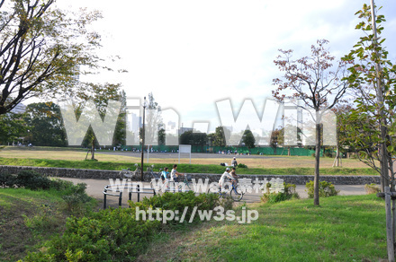 富士見公園の写真素材 W-002679