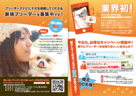 ブリーダーズナビ A5チラシ D-002733 のチラシ