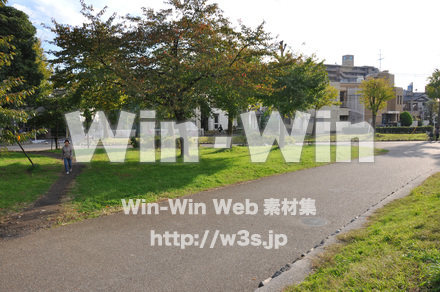 富士見公園の写真素材 W-002675