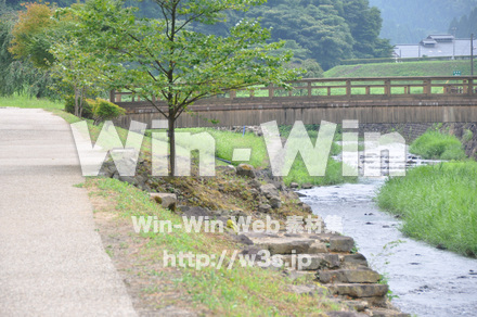 一乗谷朝倉氏遺跡の写真素材 W-002261